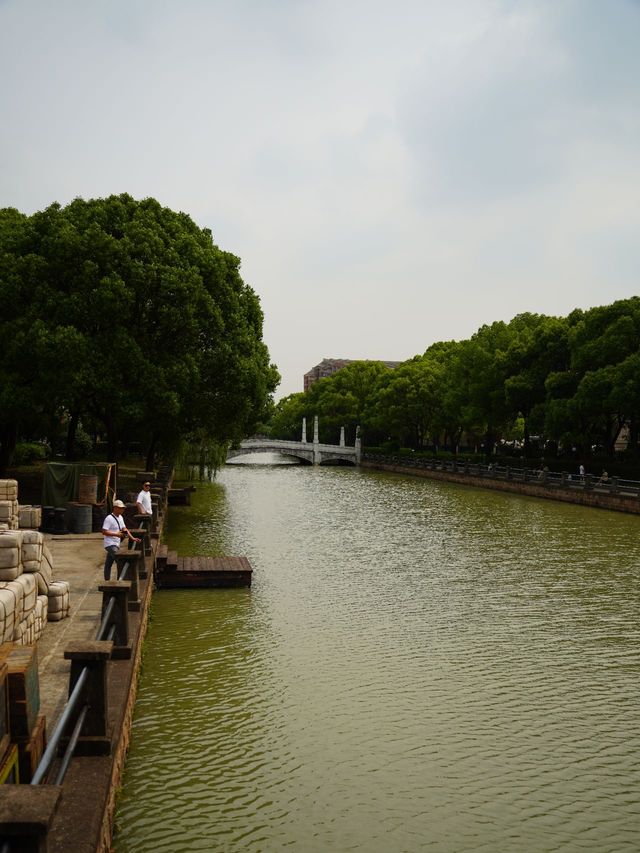 情深深雨濛濛拍攝地