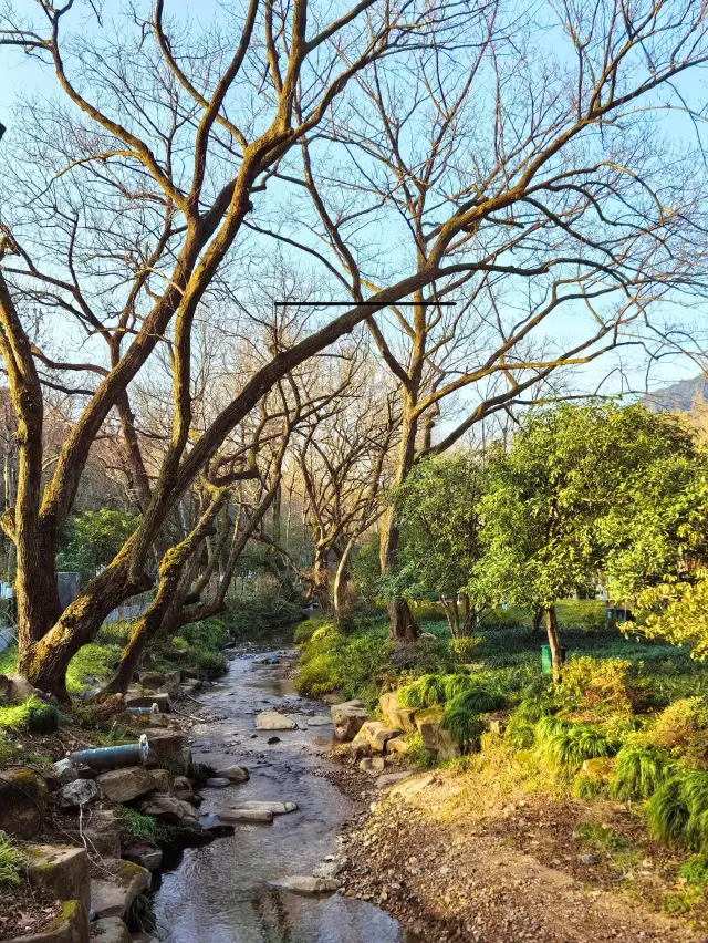 Hangzhou Can Also Offer a Spring Mountain Hike | This Walking Route is Incredibly Healing