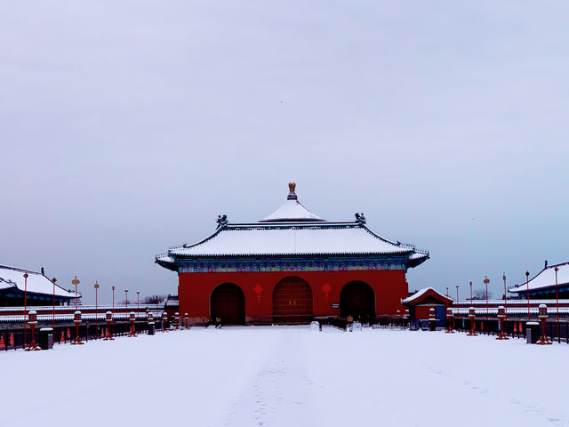 雪後天壇 2024年初雪