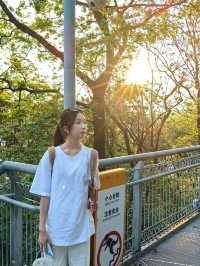 順德｜華蓋路City Walk