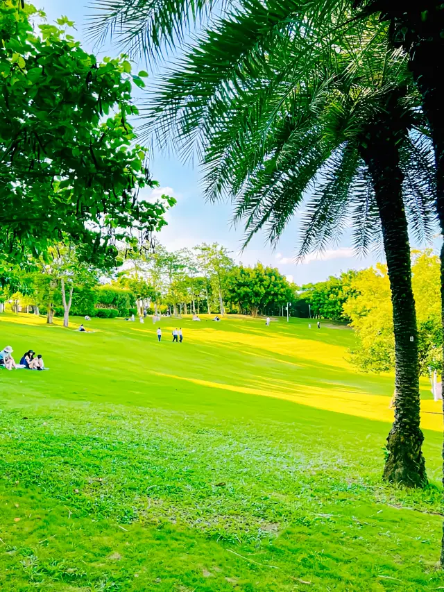 Shenzhen! Show off your favorite park to stroll around, it has to be the Sunrise Theater's big lawn!