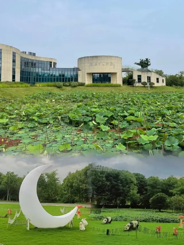 Ningbo Botanical Garden | Bask in the sun in the Monet-like garden