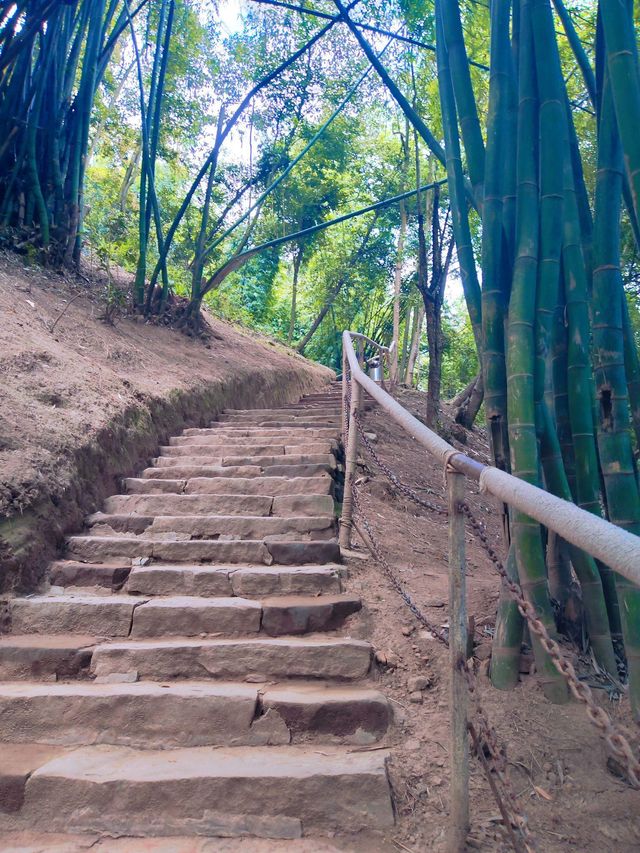 好好的給自己放個假，享受川西竹海的寧靜