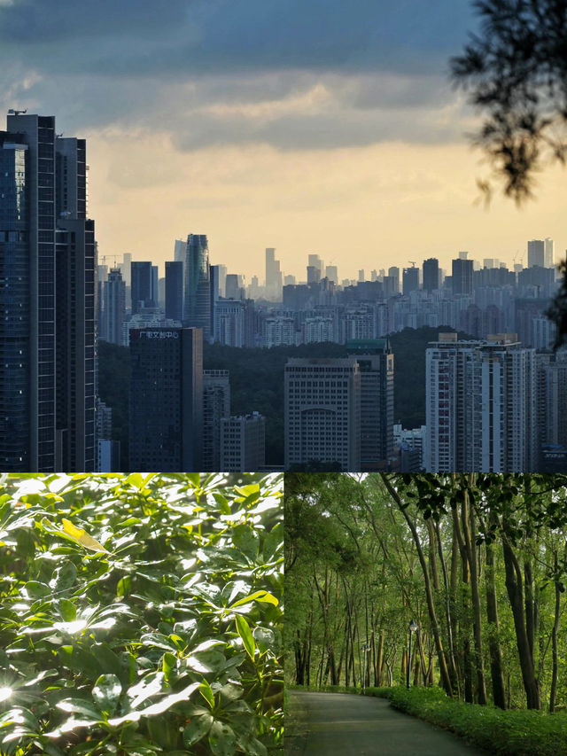 深圳筆架山公園！城市機位落日爬山攻略