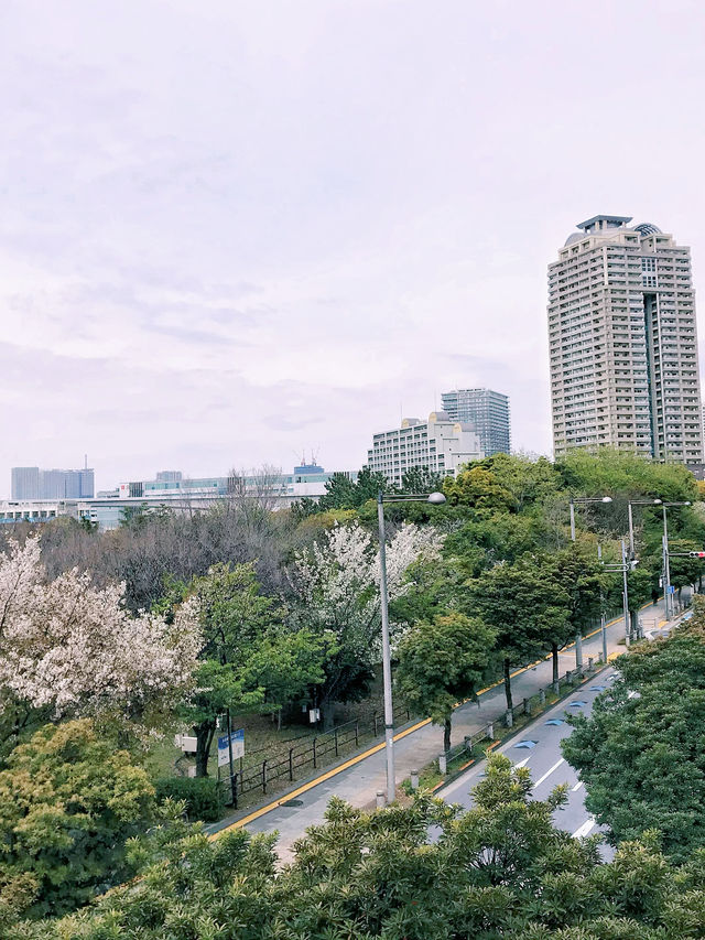 去公園吧！御台場之東京灣暢想曲