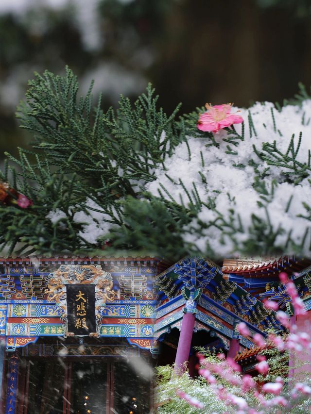 不是去不了哈爾濱，而且貴陽更有性價比