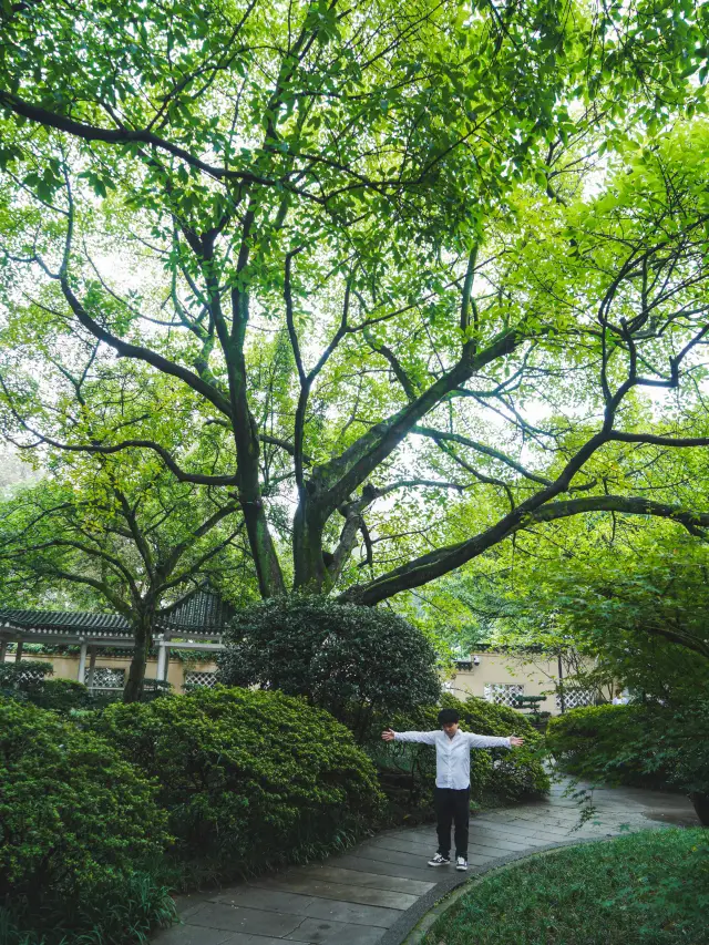 Spend a day in my hometown | The ancient-style ceiling of Chongqing "Little Jiangnan"