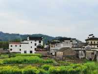 依依古村 千年仁里