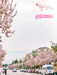 Exploring Hai'an Road's Floral Delights 🌸