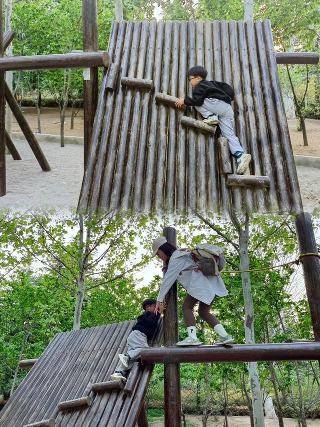 鄭州100個免費遊玩寶藏景點——樹木園