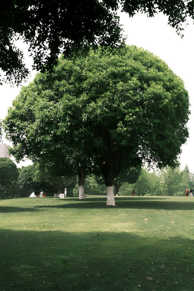 五一逛公園