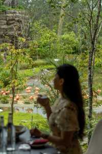 新加坡旅遊 | 重新打造的飛禽公園新館