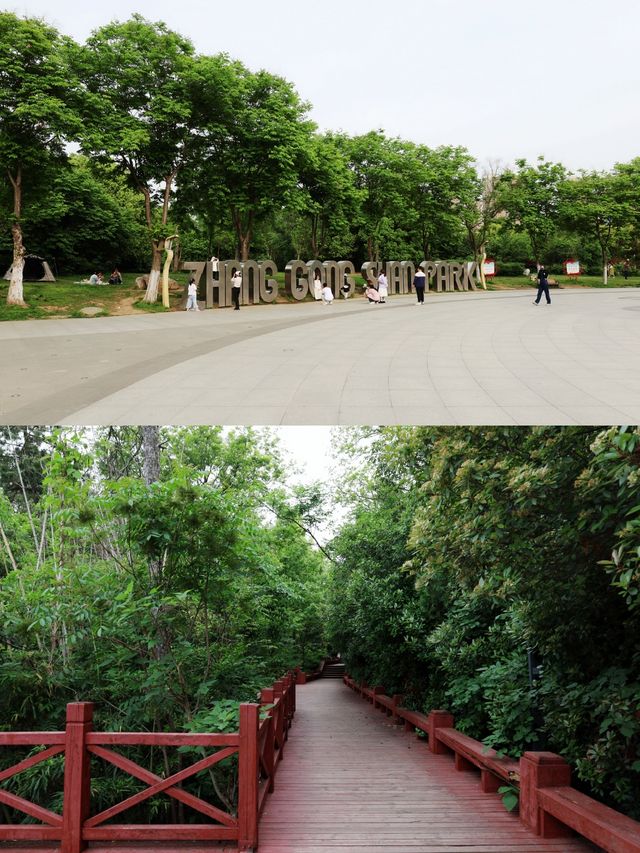 春遊江淮 張公山公園看淮河兩岸無限風光