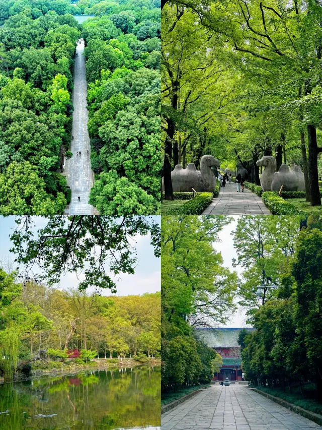 สำรวจความงามของเมืองโบราณน่าหลงใหล——พื้นที่ทิวทัศน์ภูเขา Zhongshan ในนานกิง ไม่ใช่แค่เรื่องราวของภูเขาเท่านั้น!