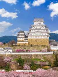 Himeji Castle is stunning 🇯🇵