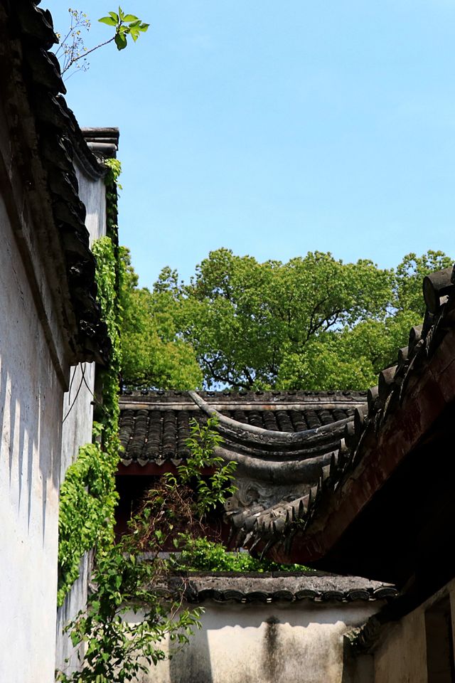 報告!前方發現一座千年宋構活化石 報告!前方發現一座千年宋構活化石
