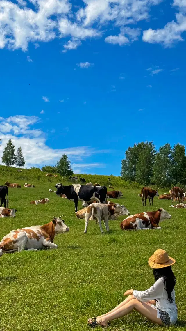 ท่องเที่ยวหูหลินเป่ยเอ่อร์ | 6 วัน 5 คืน ทริปเล่นสนุกสบายใจ