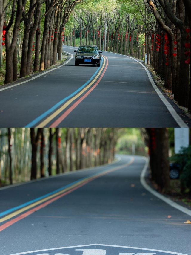 溧陽｜最浪漫的事就是和你走遍“1號公路”