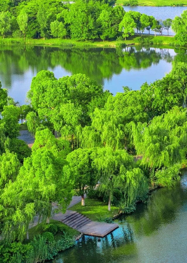 不是西湖太子灣！在濱江寶藏公園太美了！！