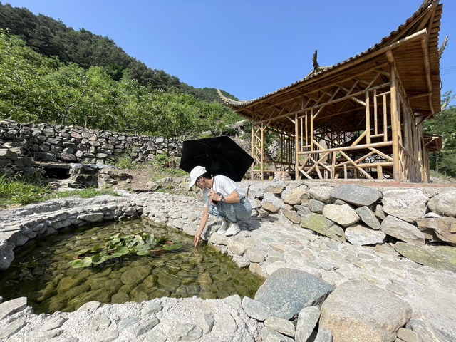 承德興隆青松嶺御墅山莊農家院，150每人三餐一晚