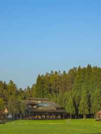 🌟 Enchanting Escapes at Joya Hotel, Fairy Mountain 🌲