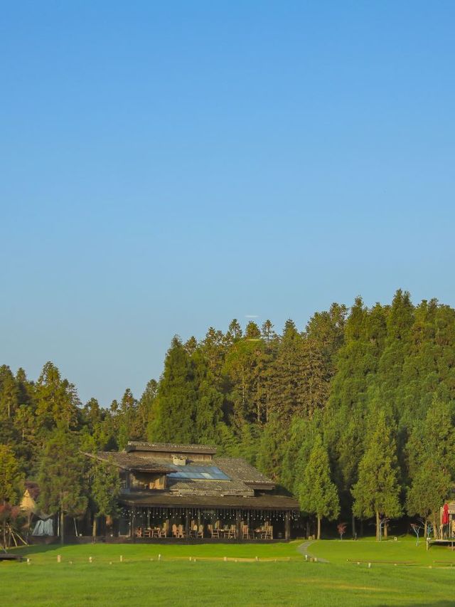 🌟 Enchanting Escapes at Joya Hotel, Fairy Mountain 🌲