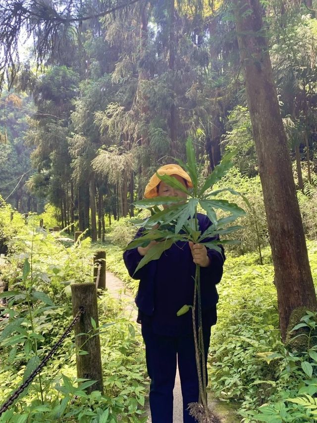 從綿陽出發1小時直達的寶藏玩水、露營親子徒步地
