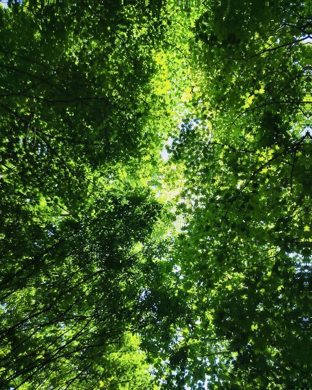 露營佳地“天華山”