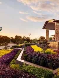 🌟 Hunter Valley's Rydges Resort Rundown 🍇
