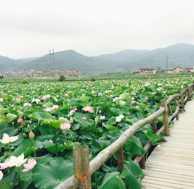 汝城|去傳說中的熱水鎮吃98度溫泉煮蛋