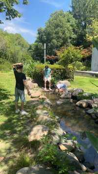夏日荷花別樣紅，相約在永康香樟公園看荷