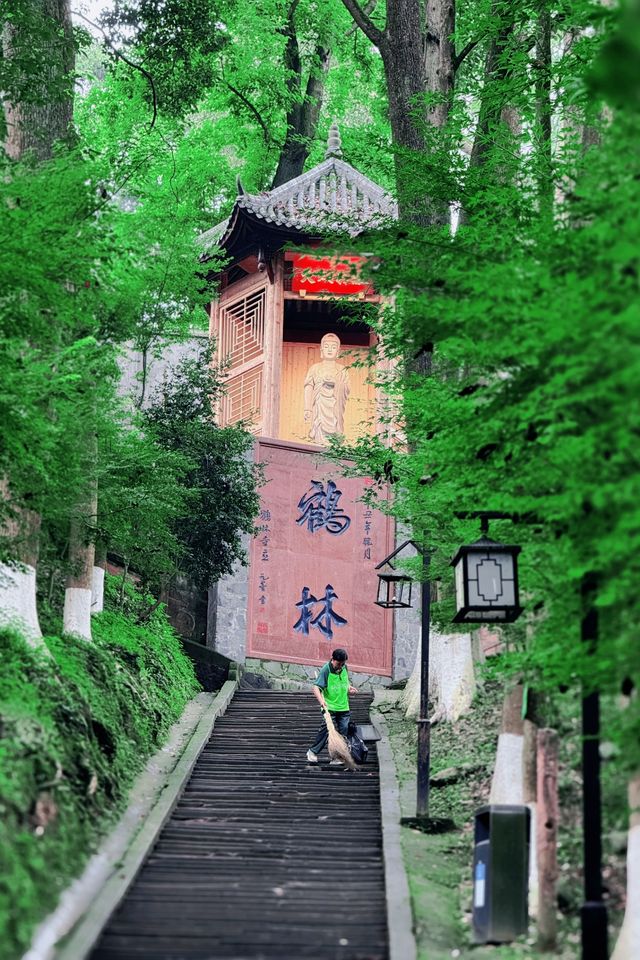 人跡罕至的山林之旅，發現隱藏的寧靜角落！
