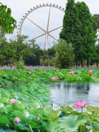 請大數據推給要來昆明的人一起看夏日浪漫