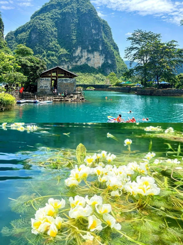 在廣西!!在廣西!!有高鐵直達!!