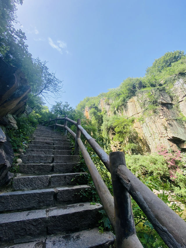 帶娃的避暑聖地
