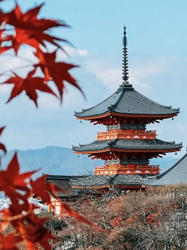 京都3日游：神秘寺廟與美麗景點🏯✨