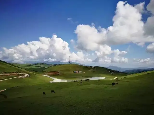 Tengchong Dongshan Grassland