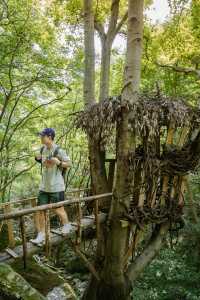 武漢周邊避暑，冒雨總結清涼寨自駕攻略