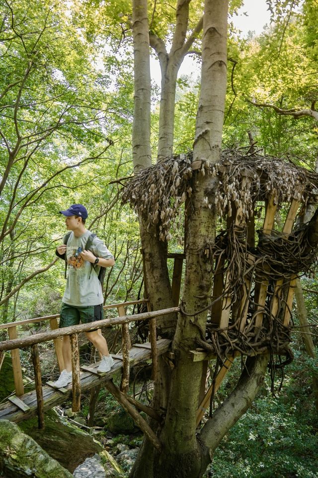 武漢周邊避暑，冒雨總結清涼寨自駕攻略