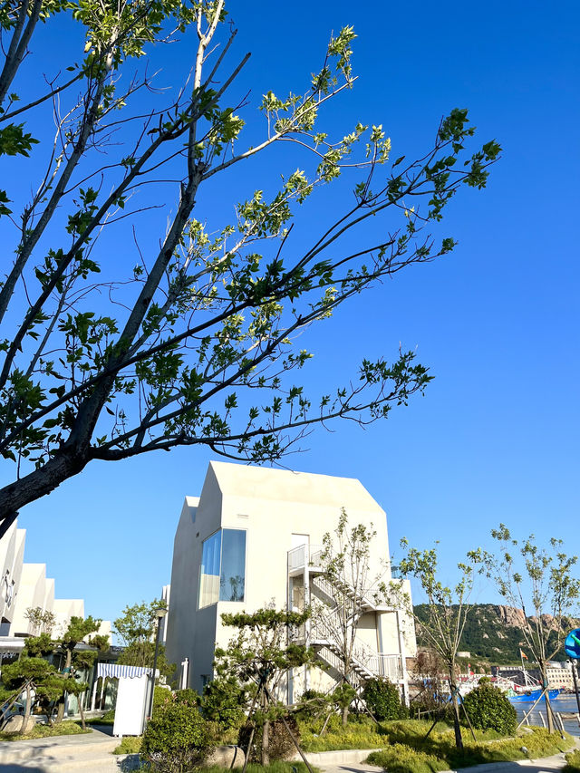 成山頭前，海景民宿！入住後完全唔想退房啦...
