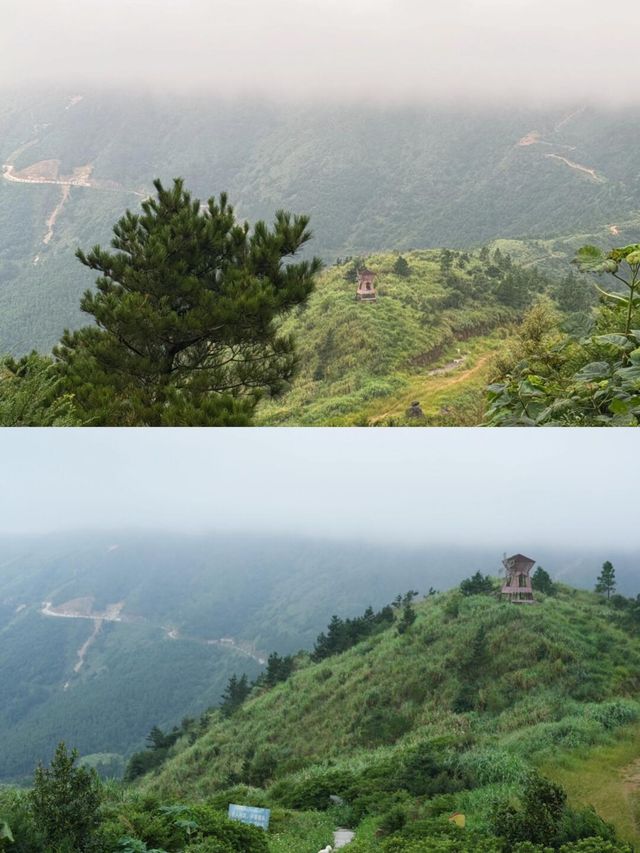 早秋第一次徒步爬大芹山啦。