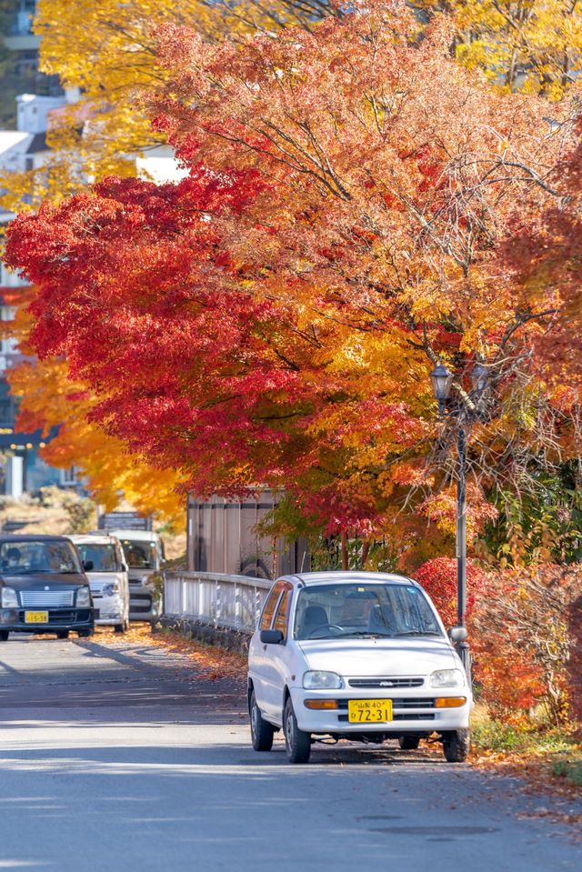 關東賞秋｜去這個地方捕捉2024年的秋天吧。