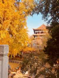 一片寧靜祥和的淨土，三柱香煙裊裊升騰，祈願所求皆能如願。