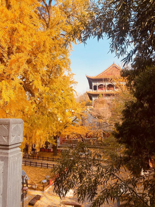 一片寧靜祥和的淨土，三柱香煙裊裊升騰，祈願所求皆能如願。