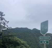 响南寧避暑圈，只需90分鐘就可以去到吾里森林。
