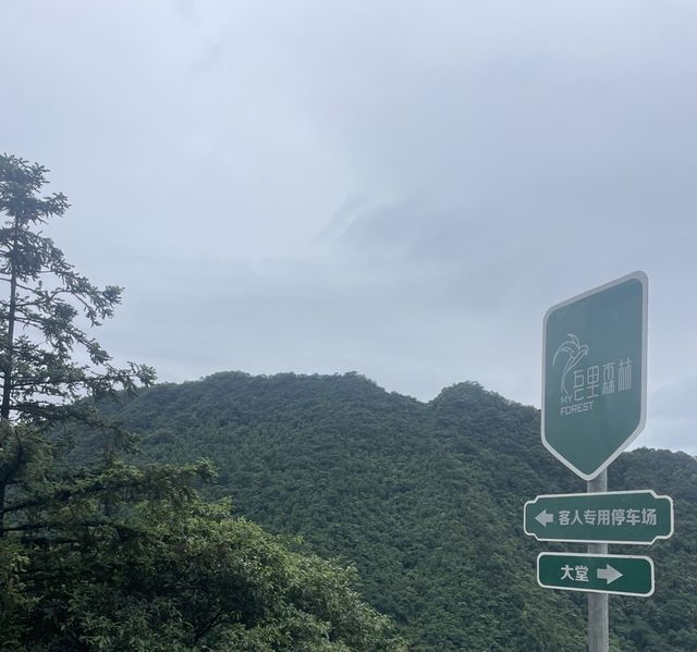 响南寧避暑圈，只需90分鐘就可以去到吾里森林。