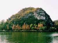 Counting Stars in Zhaoqing: An Amazing Journey Through Seven Stars Park