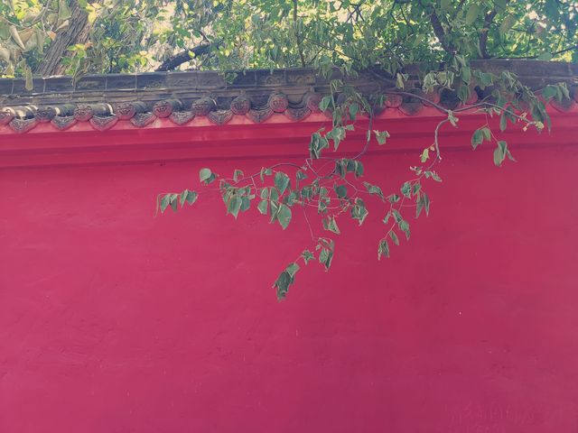 歷史悠久的川西佛教寺院——石經寺。