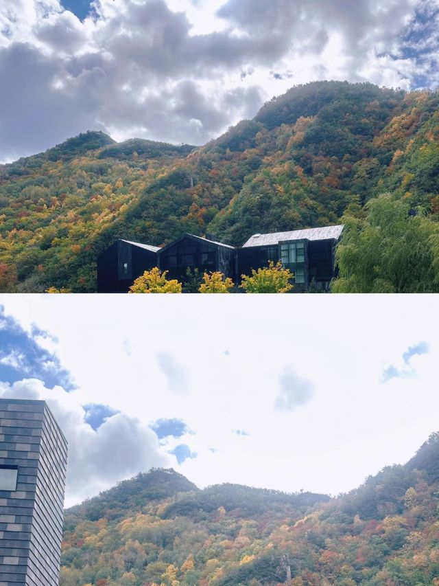 秋天的第一場旅行|神仙秋景裡的寶藏民宿。