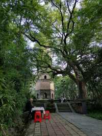 金華市浦江塔山公園丨龍德寺塔丨千年古塔。